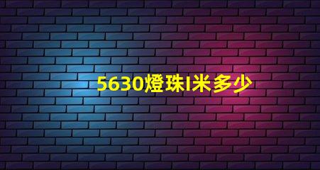5630燈珠I米多少瓦 5630燈珠是多少瓦